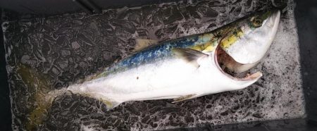 康仁丸・ジギング釣り果